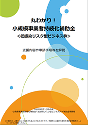 丸わかり！補助金（低感染）