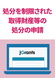【（様式第１２）処分を制限された取得財産等の処分の申請】